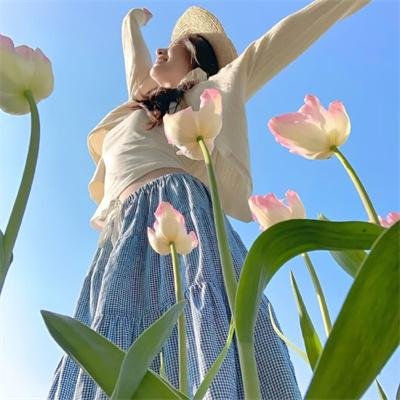 和平卫士 在线观看